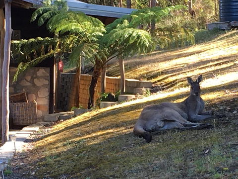 Kangaroo Valley Cottage - Tourism Hervey Bay 3