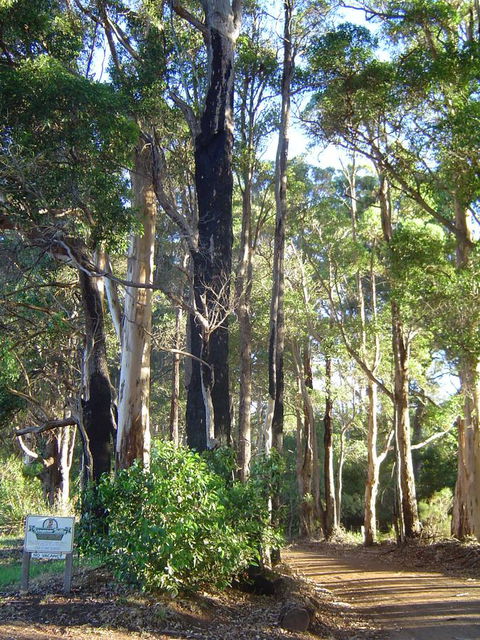 Kangaroo Valley Cottage - Tourism Hervey Bay 21
