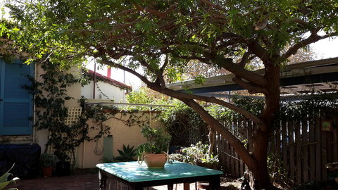 The Hub Fremantle - Hervey Bay Accommodation 15