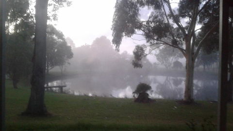 Abbivale Farm Cottage - Tourism Hervey Bay 18