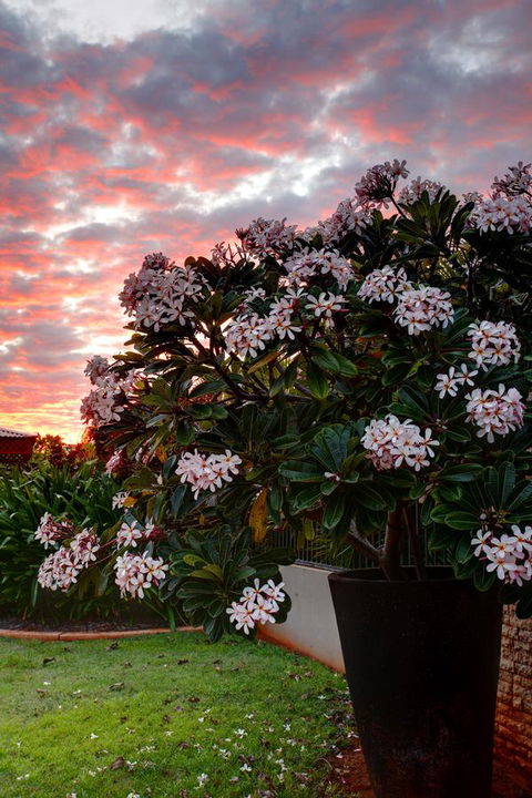 Mantra Frangipani Broome - Tourism Hervey Bay 35