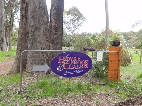 Hawke Brook Chalets - Hervey Bay Accommodation 10