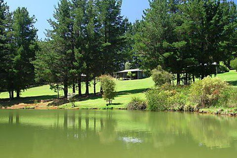 Hawke Brook Chalets - Hervey Bay Accommodation 2