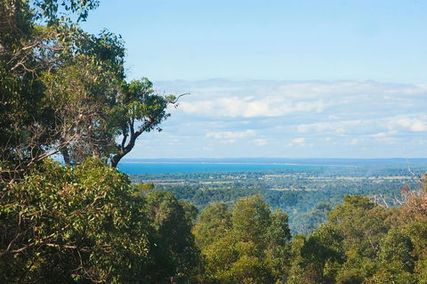A Hidden Bush Delight - Tourism Hervey Bay 31