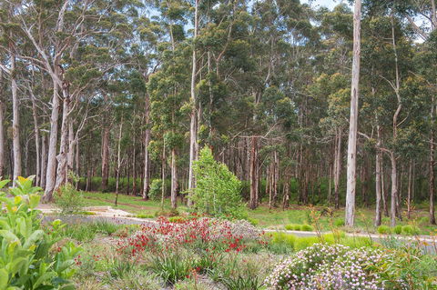 Churchill Studios - Tourism Hervey Bay 9