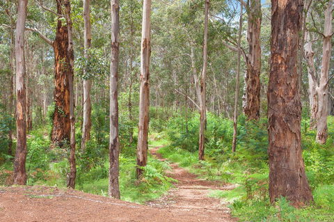 Churchill Studios - Tourism Hervey Bay 8