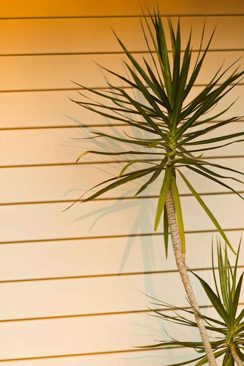The Billi Resort - Tourism Hervey Bay 44
