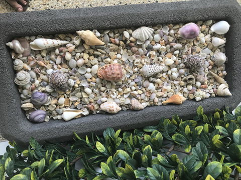 Beach House At SeaScapes.. - Hervey Bay Accommodation 27