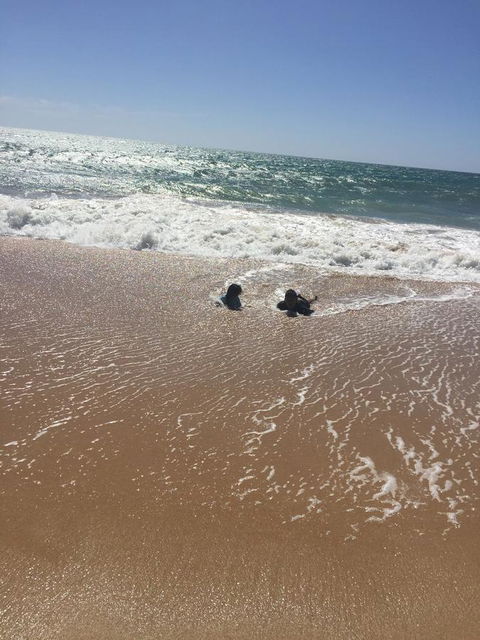 Beach House At SeaScapes.. - Hervey Bay Accommodation 30