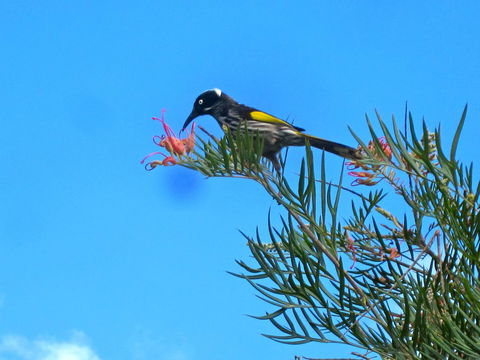 Bridgetown Valley Lodge - Hervey Bay Accommodation 42