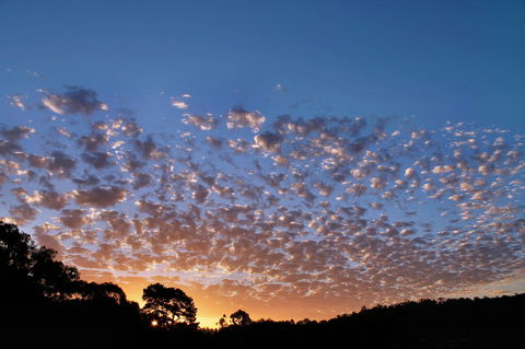 Bridgetown Valley Lodge - Hervey Bay Accommodation 6