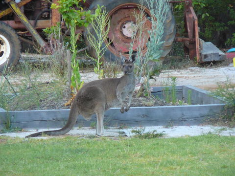Nannup Bush Retreat - Tourism Hervey Bay 38