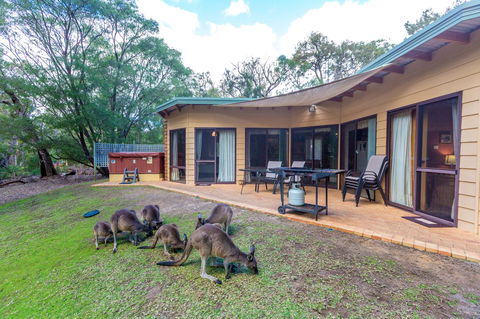 Yelverton Brook Conservation Sanctuary - Tourism Hervey Bay 18