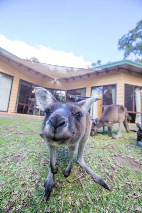 Yelverton Brook Conservation Sanctuary - Tourism Hervey Bay 17