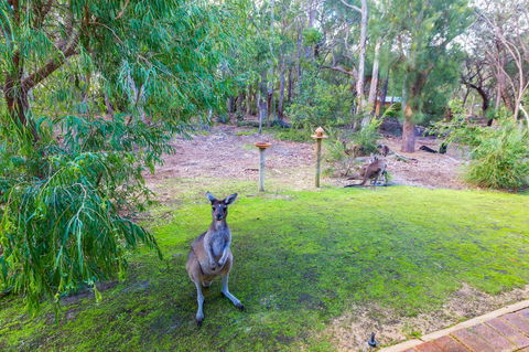 Yelverton Brook Conservation Sanctuary - Tourism Hervey Bay 11