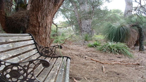 Yelverton Brook Conservation Sanctuary - Tourism Hervey Bay 42