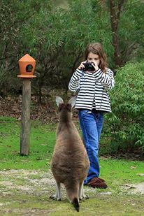 Yelverton Brook Conservation Sanctuary - Tourism Hervey Bay 39