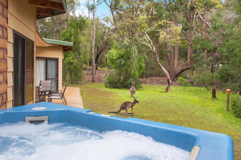 Yelverton Brook Conservation Sanctuary - Tourism Hervey Bay 9