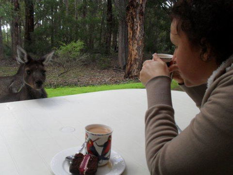 Yelverton Brook Conservation Sanctuary - Tourism Hervey Bay 44