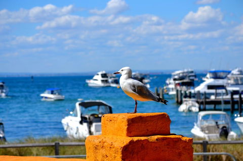 Palms Bed & Breakfast - Tourism Hervey Bay 25