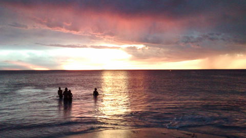 Palms Bed & Breakfast - Tourism Hervey Bay 24