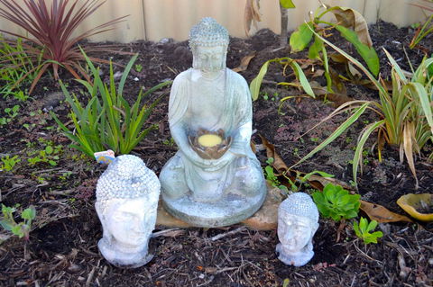 Palms Bed & Breakfast - Tourism Hervey Bay 22