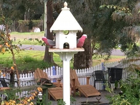 Applegate Lane Chalet - Hervey Bay Accommodation 25