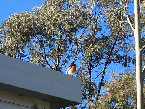 Applegate Lane Chalet - Hervey Bay Accommodation 27