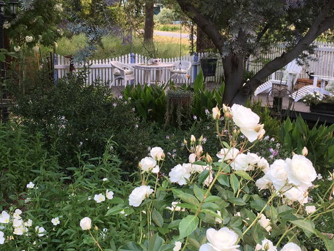 Applegate Lane Chalet - Hervey Bay Accommodation 22