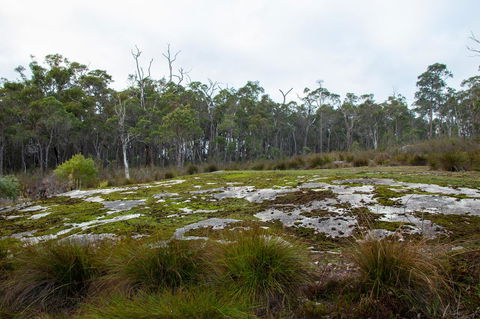 Denmark Forest Retreat - Hervey Bay Accommodation 26