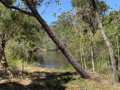Denmark Forest Retreat - Hervey Bay Accommodation 32