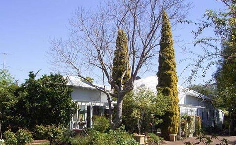 Jacaranda Guest House - Hervey Bay Accommodation 37