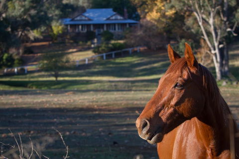 Historic Oakhill House Entire Estate - Hervey Bay Accommodation 9