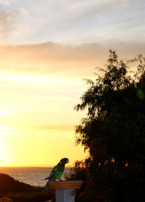 Peppy Beach Ocean Views - Hervey Bay Accommodation 12