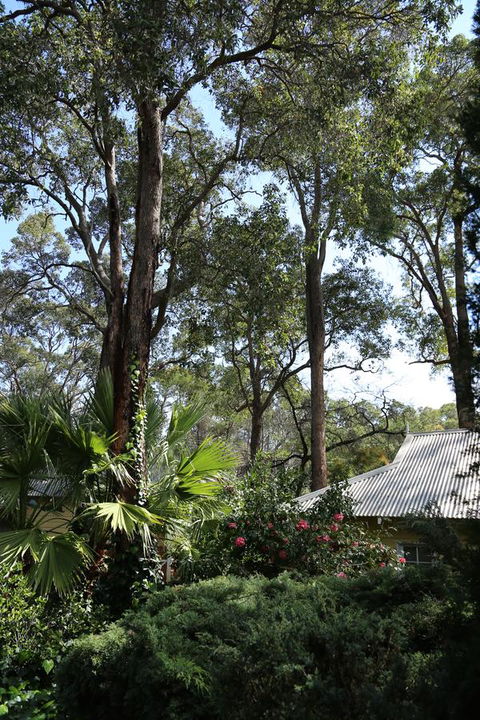 Two Sisters Chalets - Hervey Bay Accommodation 33