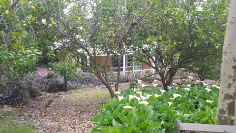 Two Sisters Chalets - Hervey Bay Accommodation 15