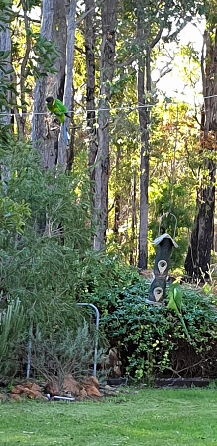 Di's Cabin In Dwellingup - Hervey Bay Accommodation 6