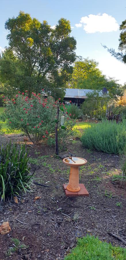 Di's Cabin In Dwellingup - Hervey Bay Accommodation 14