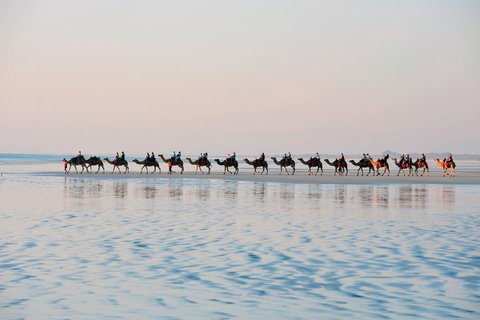 Apartments At Blue Seas Resort - Hervey Bay Accommodation 20