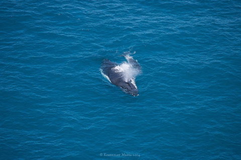 Apartments At Blue Seas Resort - Hervey Bay Accommodation 26