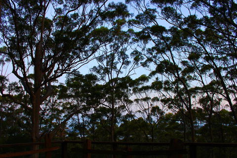 Ark Of Denmark - Tourism Hervey Bay 27