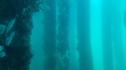 Indoyo Retreat - Hervey Bay Accommodation 28