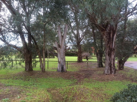 Nivalis Bed And Breakfast - Tourism Hervey Bay 29