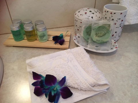 Nivalis Bed And Breakfast - Tourism Hervey Bay 15