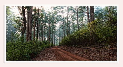 Oak Tree Barn Bridgetown - Hervey Bay Accommodation 14