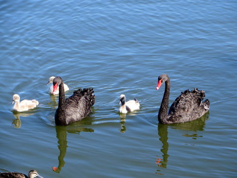Yunderup Kannie Kottage - Hervey Bay Accommodation 3