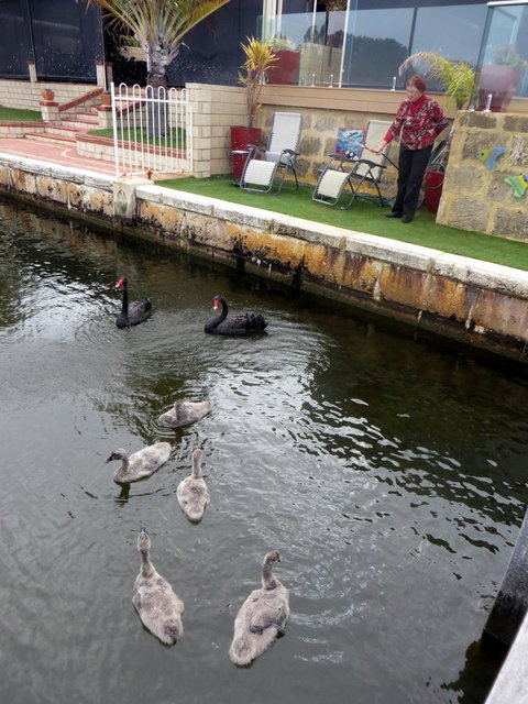 Yunderup Kannie Kottage - Hervey Bay Accommodation 14