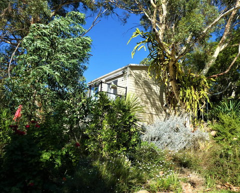 Treetops Cottage - Hervey Bay Accommodation 13