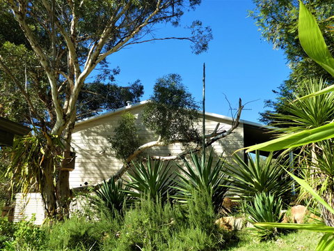 Treetops Cottage - Hervey Bay Accommodation 4