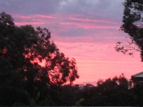 Treetops Cottage - Hervey Bay Accommodation 30